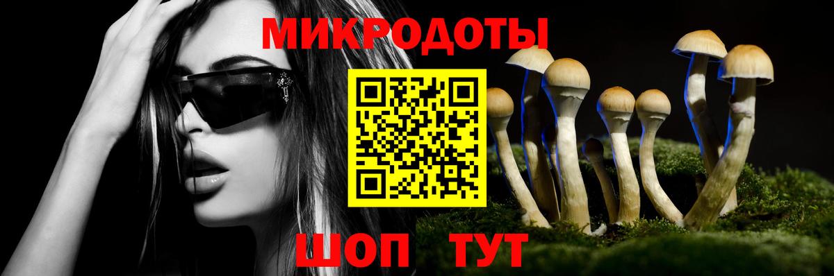 Псилоцибиновые грибы мухоморы Сатка